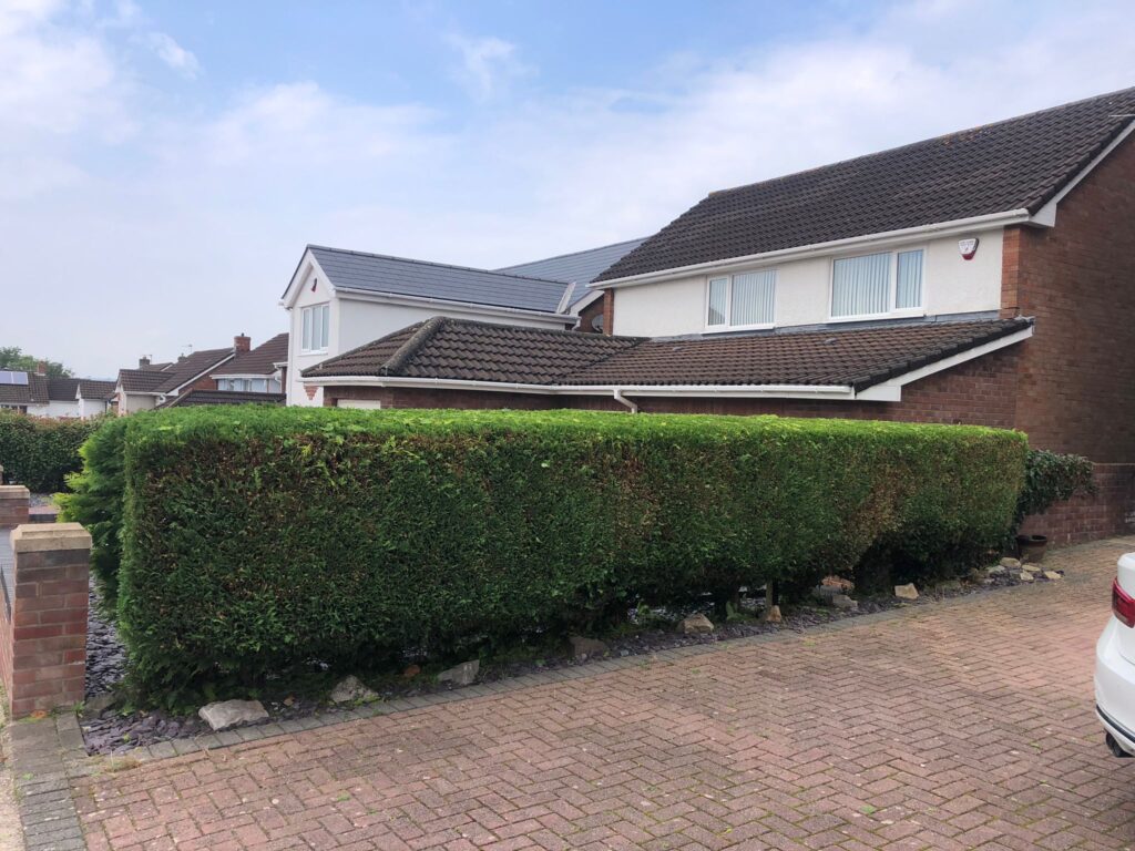 Hedge Cutting Near Me