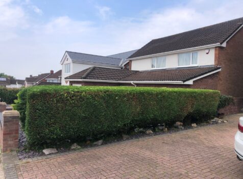 Hedge Cutting Near Me