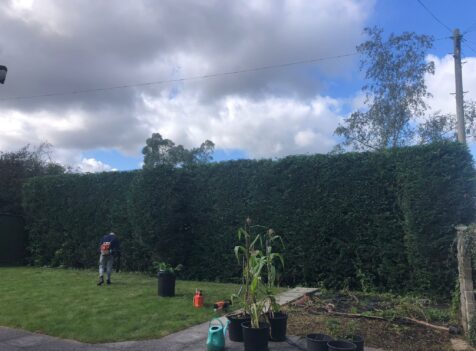 Hedge Trimming gloucestershire