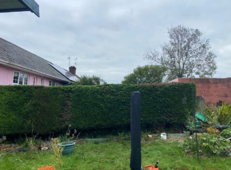 Regular Hedge Trimming gloucestershire
