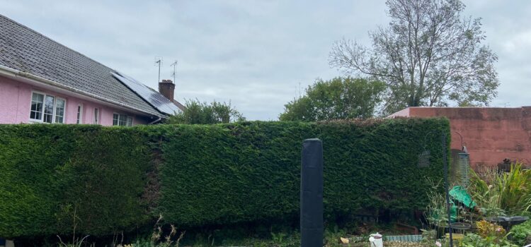 Regular Hedge Trimming Stroud