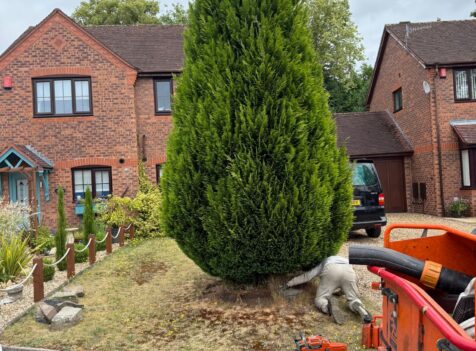Emergency Tree Work in Hereford