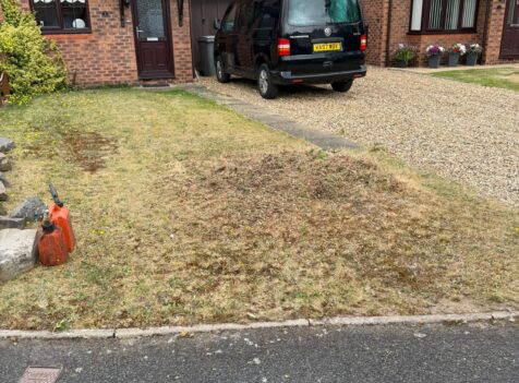 Fir Tree Removal in Cirencester