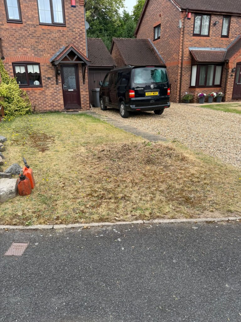 Fir Tree Removal in Cirencester
