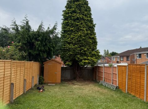 The Best Time of Year for Tree Pruning in Hereford?