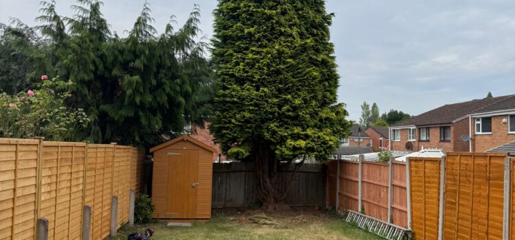 fir tree removal gloucester