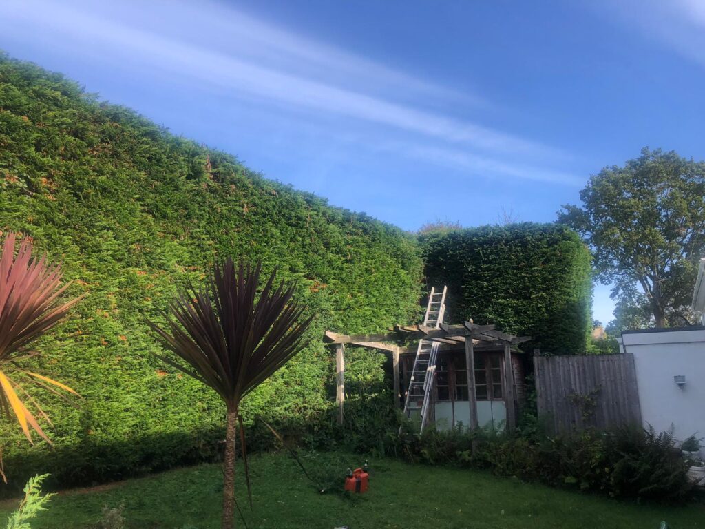 prestige tree care gloucester