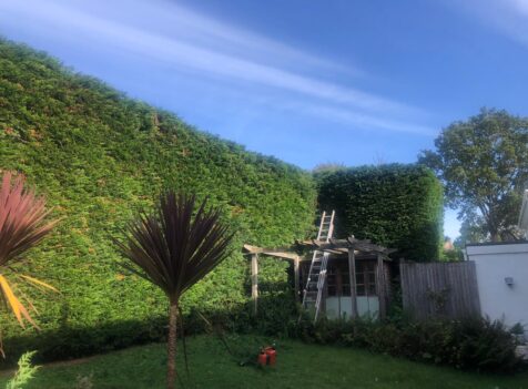 prestige tree care gloucester