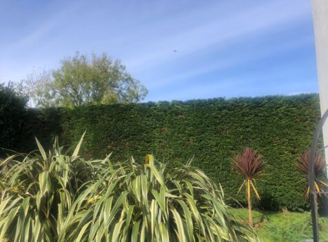 prestige tree care gloucester