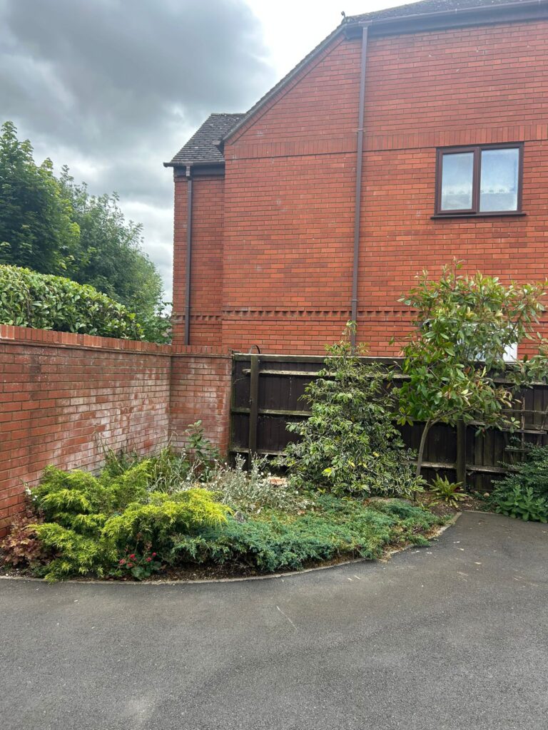 Hedge-removal-swindon