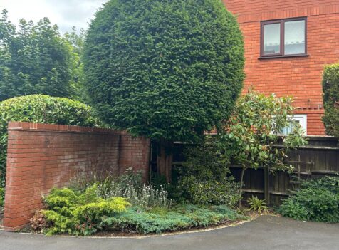How Much Does Tree Pruning Cost in Cirencester?